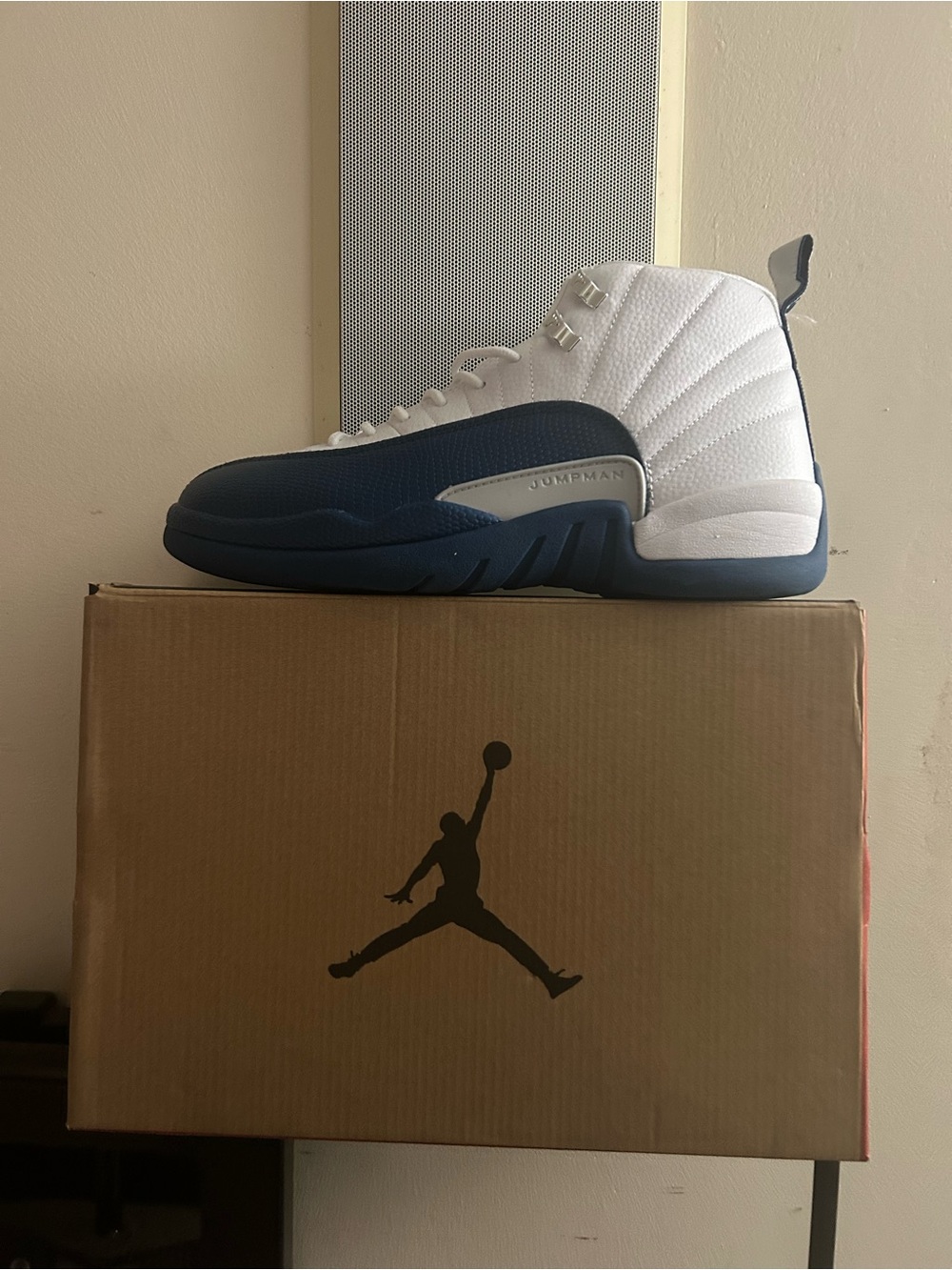 White and navy Jordan 12 trainers